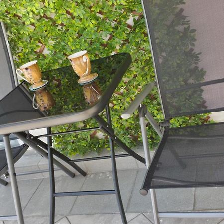 Cozy Studio Near The Park With Huge Verandah. فيليكو ترنوفو المظهر الخارجي الصورة